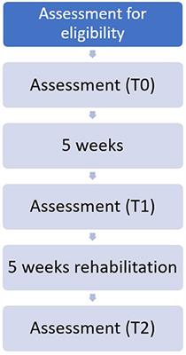 An Immersive Motor Protocol for Frailty Rehabilitation